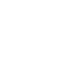 value-icon